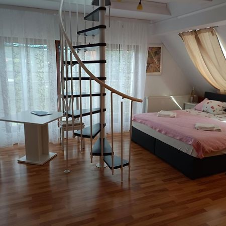 Pension Donaublick Grein 2 In Stifterstrasse19. Daire Dış mekan fotoğraf